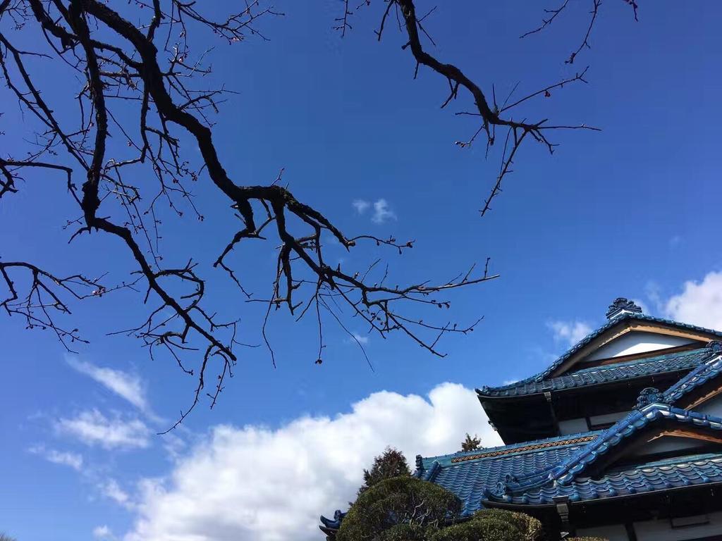 האצ'יוג'י Kougetsu Sanso -- Moon Villa In Tokyo מראה חיצוני תמונה
